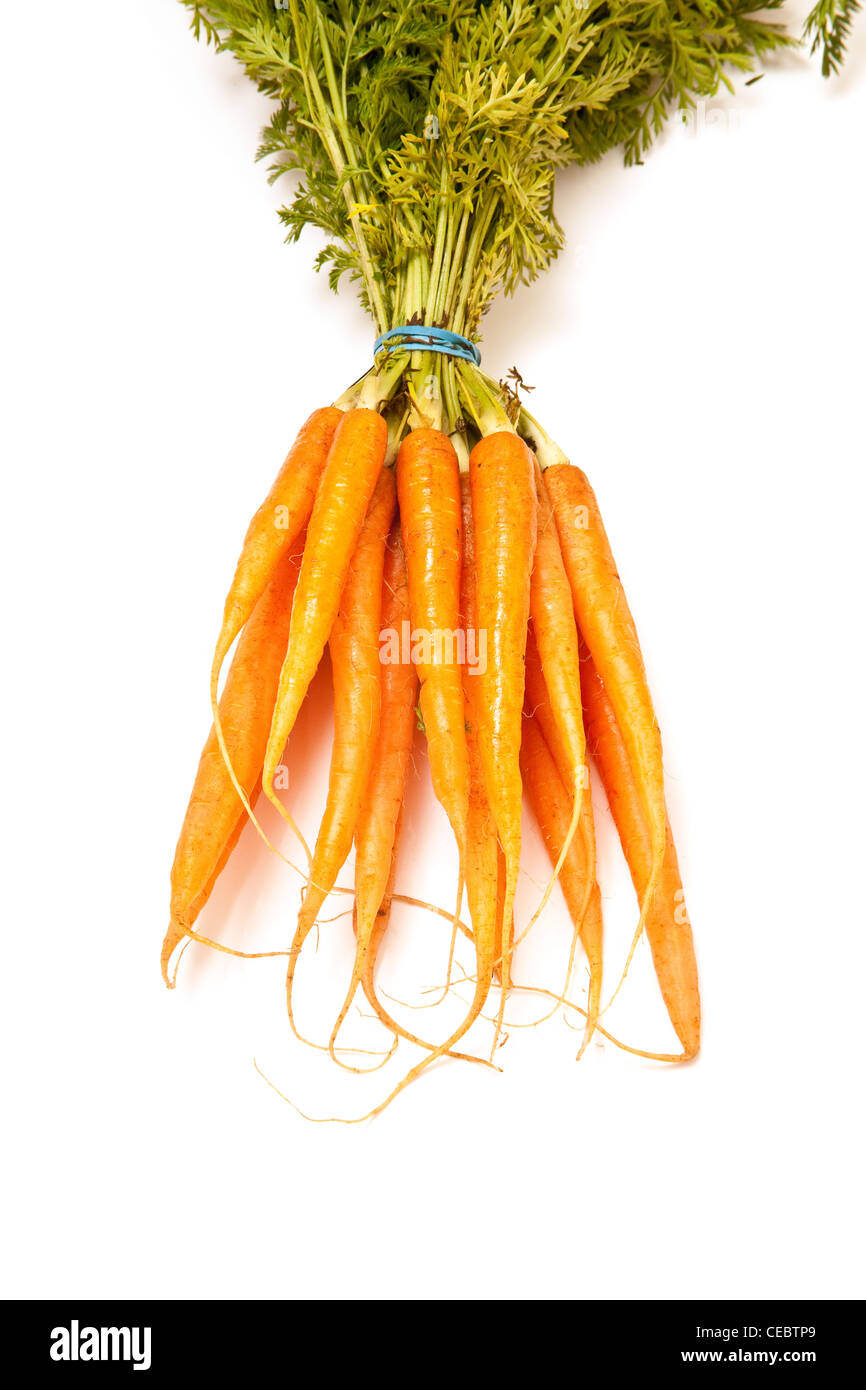 Mazzo di carote fresche isolate su un bianco di sfondo per studio. Foto Stock