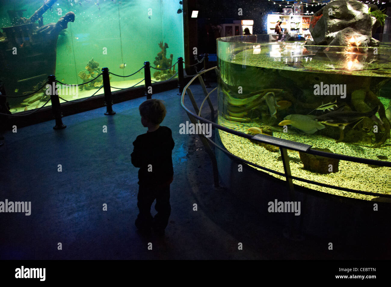 Sea World acquari Praga Repubblica Ceca Foto Stock