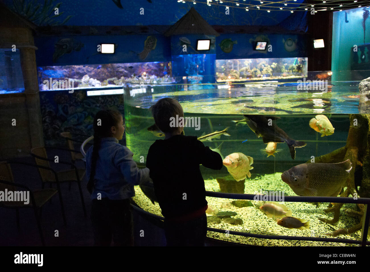 Sea World acquari Praga Repubblica Ceca Foto Stock