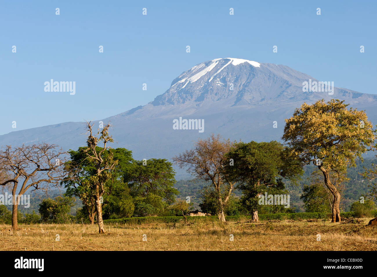 Kilimanjaro e terreni agricoli durante la stagione asciutta come visto da di Moshi in Tanzania Foto Stock