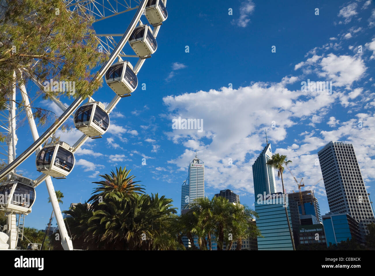 Il misuratore 50 ruota alta di Perth ruota panoramica Ferris con lo skyline della città in background. Perth, Western Australia, Australia Foto Stock