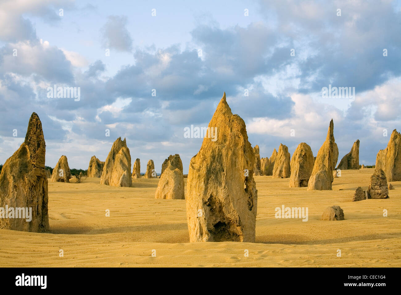 Colonne di pietra calcarea al tramonto nel Deserto Pinnacles. Nambung National Park, Cervantes, Australia occidentale, Australia Foto Stock