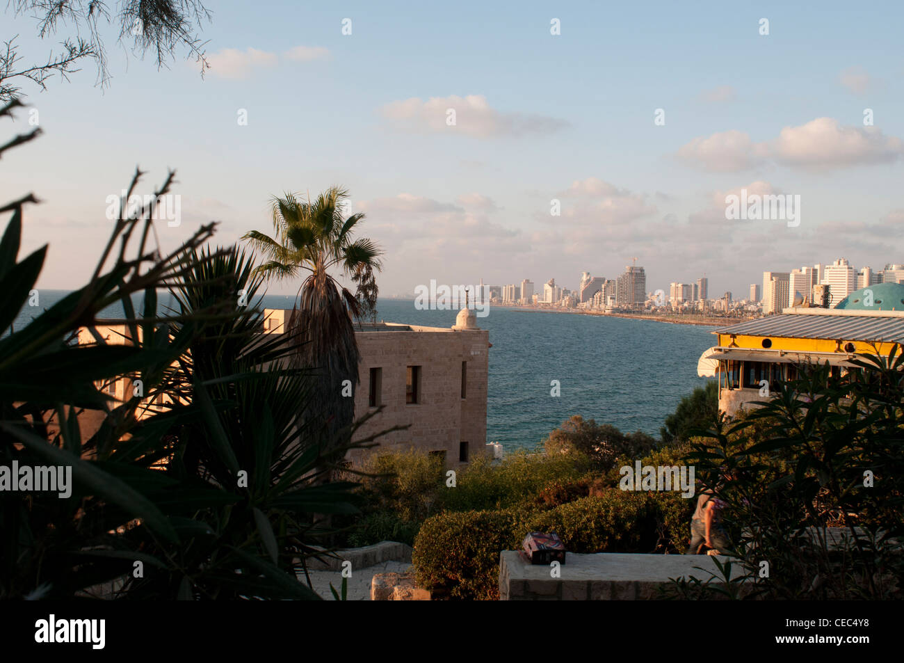 Tel Aviv Cielo di tramonto la visualizzazione della linea da Giaffa da giardini HaPisgah. Foto Stock