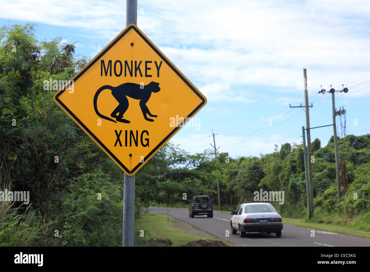Attraversamento di scimmia segno, Nevis, dei Caraibi. Foto Stock