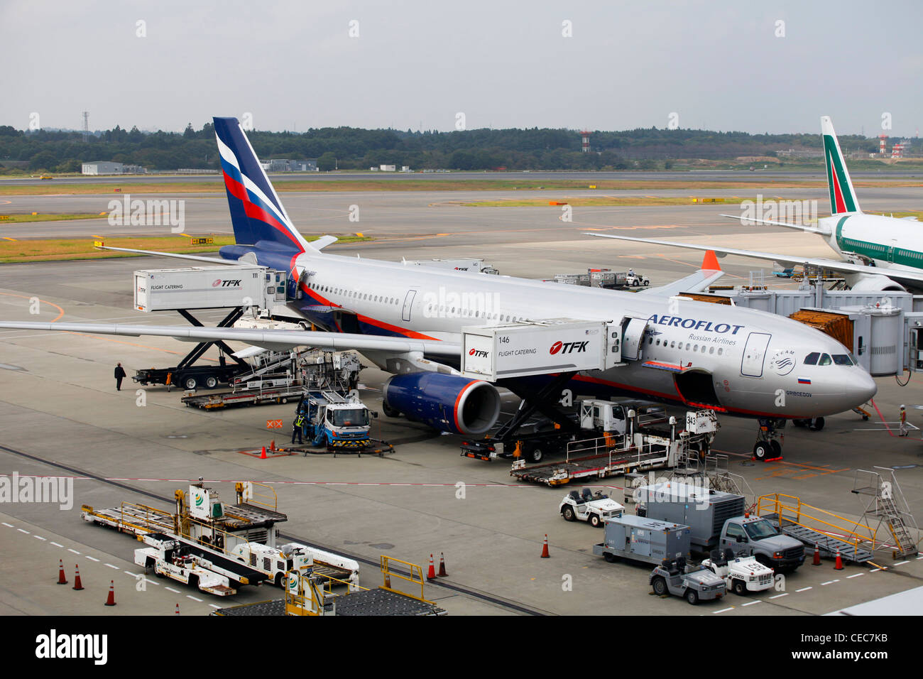 Aeroflot Airbus A330, l'aeroporto internazionale di New Tokyo, Narita di Tokyo, Giappone. Foto Stock