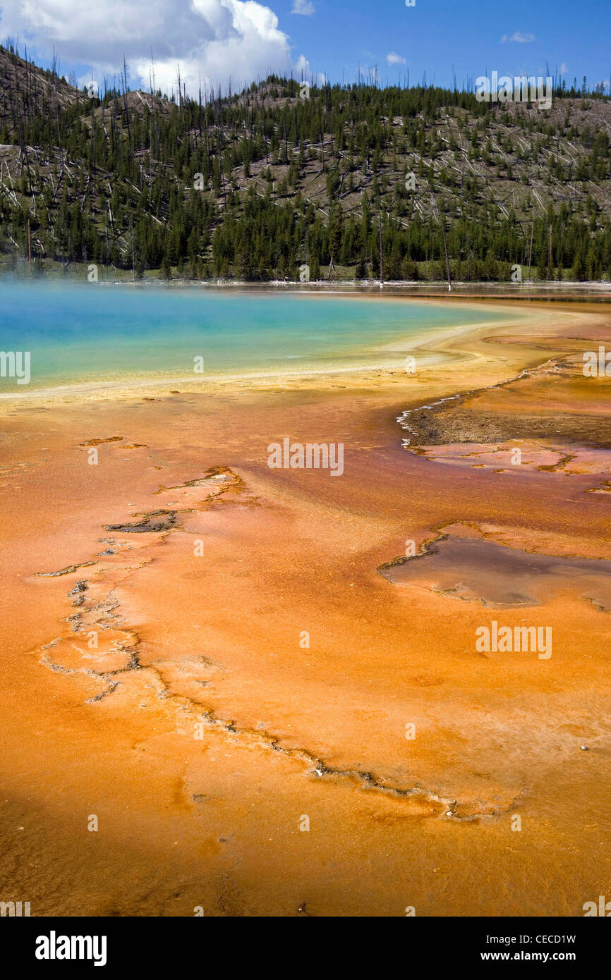 Stati Uniti d'America, il Parco Nazionale di Yellowstone, Montana, Midway Geyser Basin Foto Stock