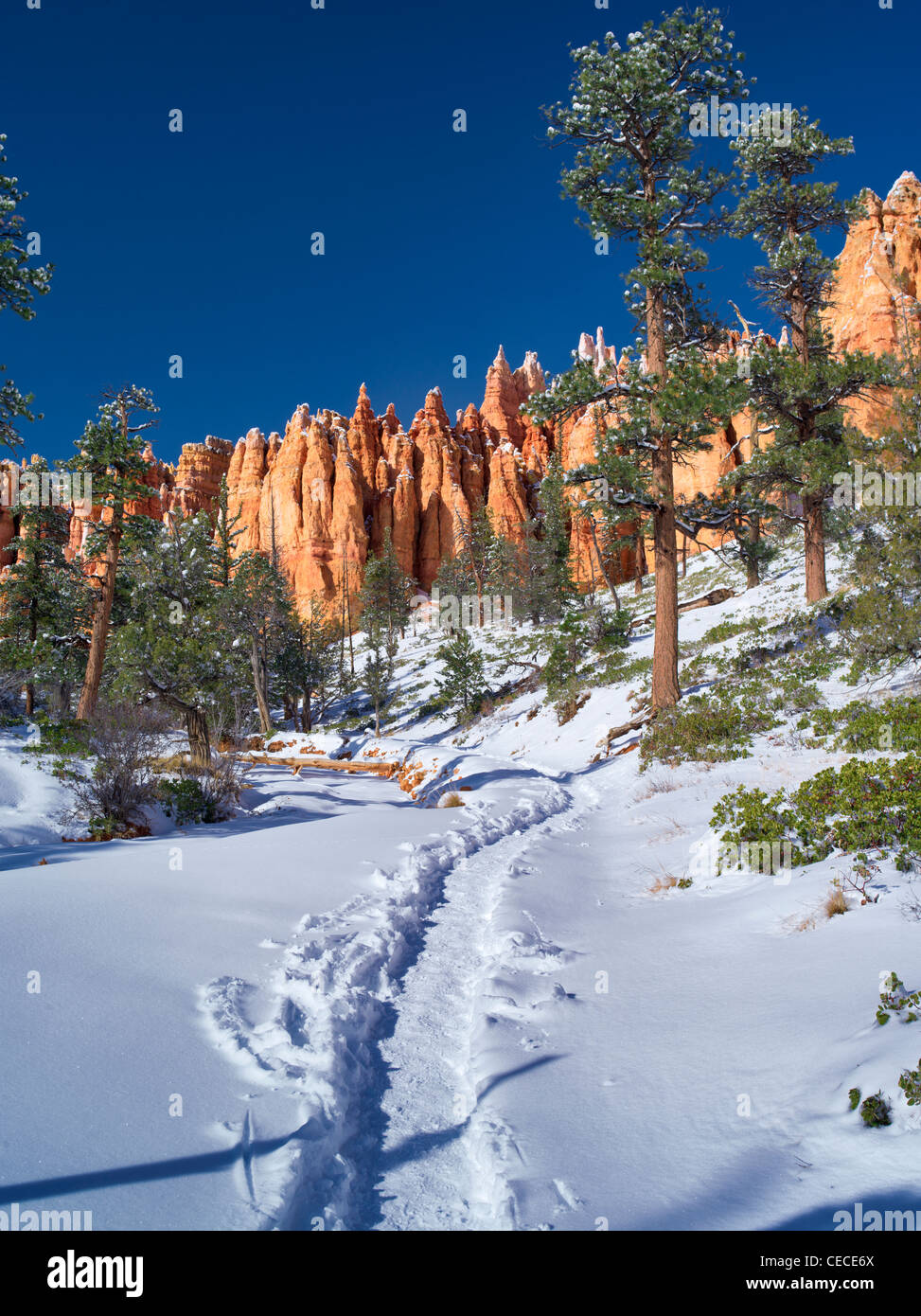 Percorso con neve nel Parco Nazionale di Bryce Canyon, Utah Foto Stock