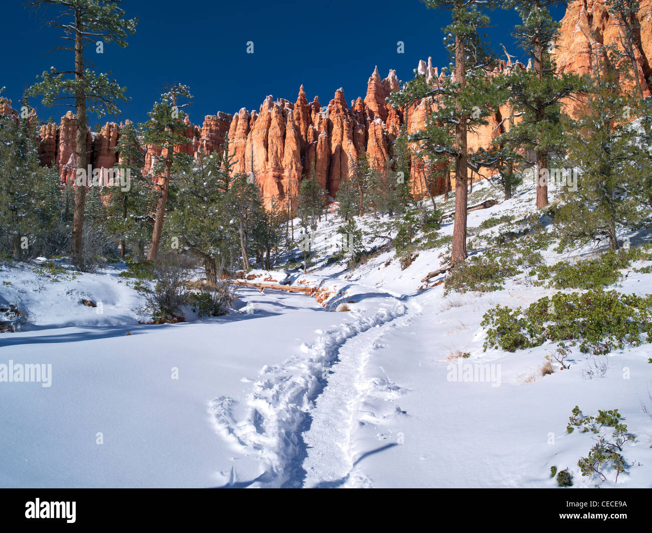 Percorso con neve nel Parco Nazionale di Bryce Canyon, Utah Foto Stock