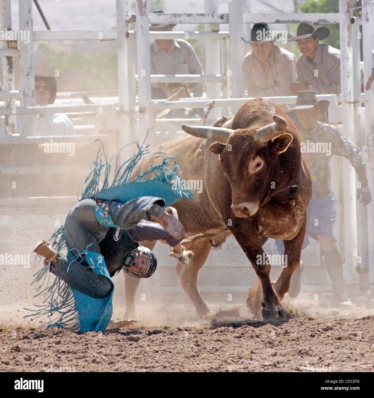 Socorro, Nuovo Messico, Stati Uniti d'America. Concorrente caduta dal suo monte durante il toro di equitazione la concorrenza Foto Stock