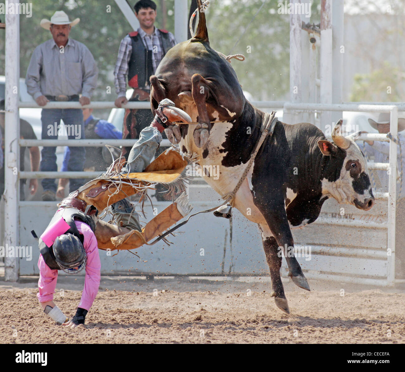 Socorro, Nuovo Messico, Stati Uniti d'America. Donna caduta dal suo monte durante il toro di equitazione concorrenza durante il rodeo annuale Foto Stock