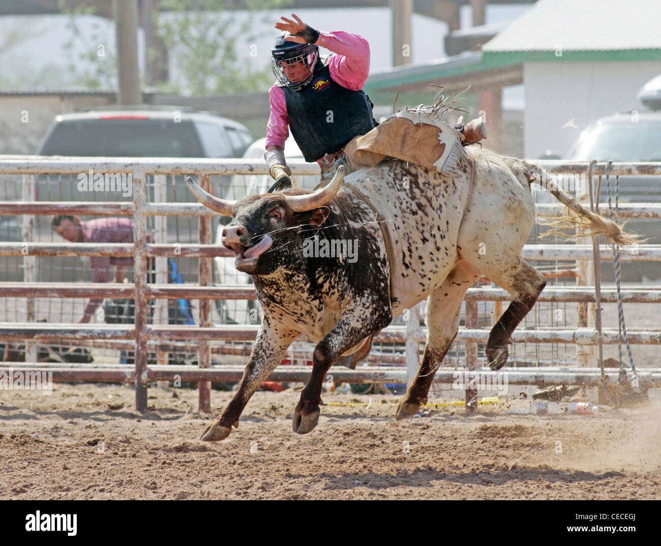 Socorro, Nuovo Messico, Stati Uniti d'America. Concorrente prendendo parte al toro di equitazione concorrenza durante il rodeo annuale. Foto Stock