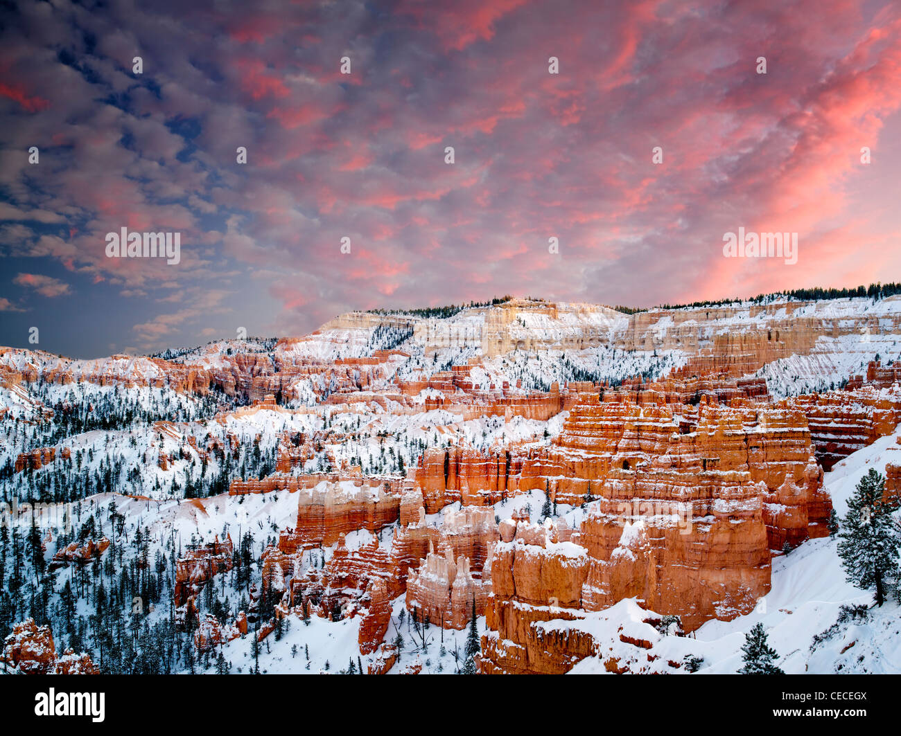 La neve e il tramonto nel Parco Nazionale di Bryce Canyon, Utah Foto Stock