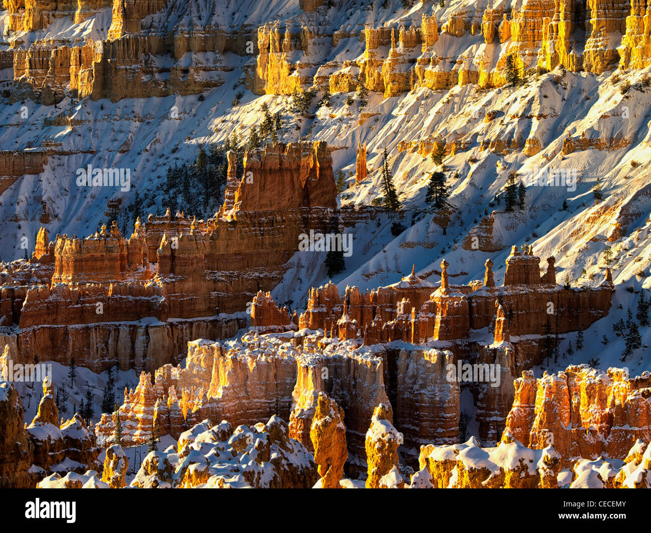 Neve su hoodoos. Parco Nazionale di Bryce Canyon, Utah. Foto Stock