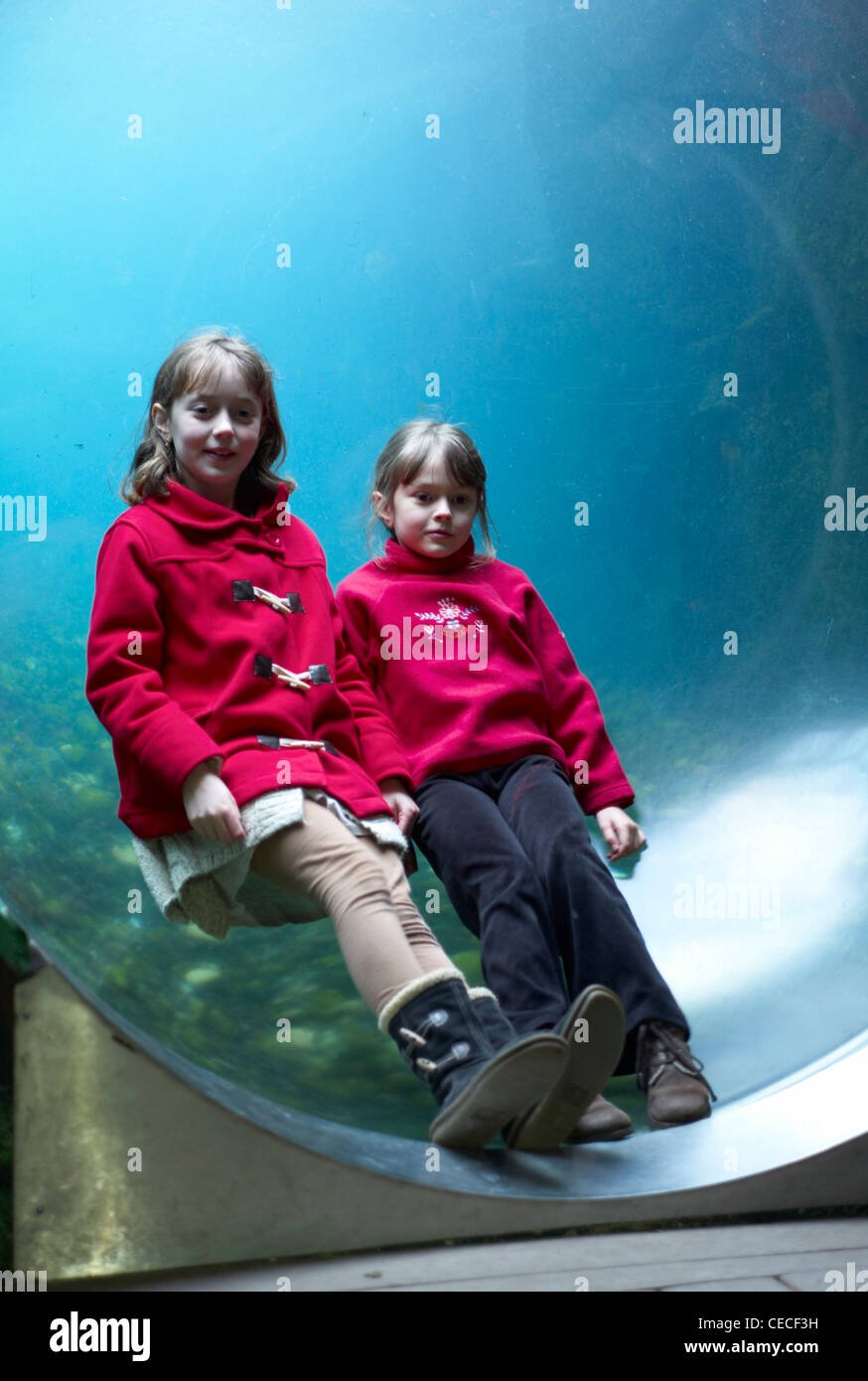 I bambini seduti in visione subacquea "bolla" al Living Coasts zoo Torquay Devon Foto Stock