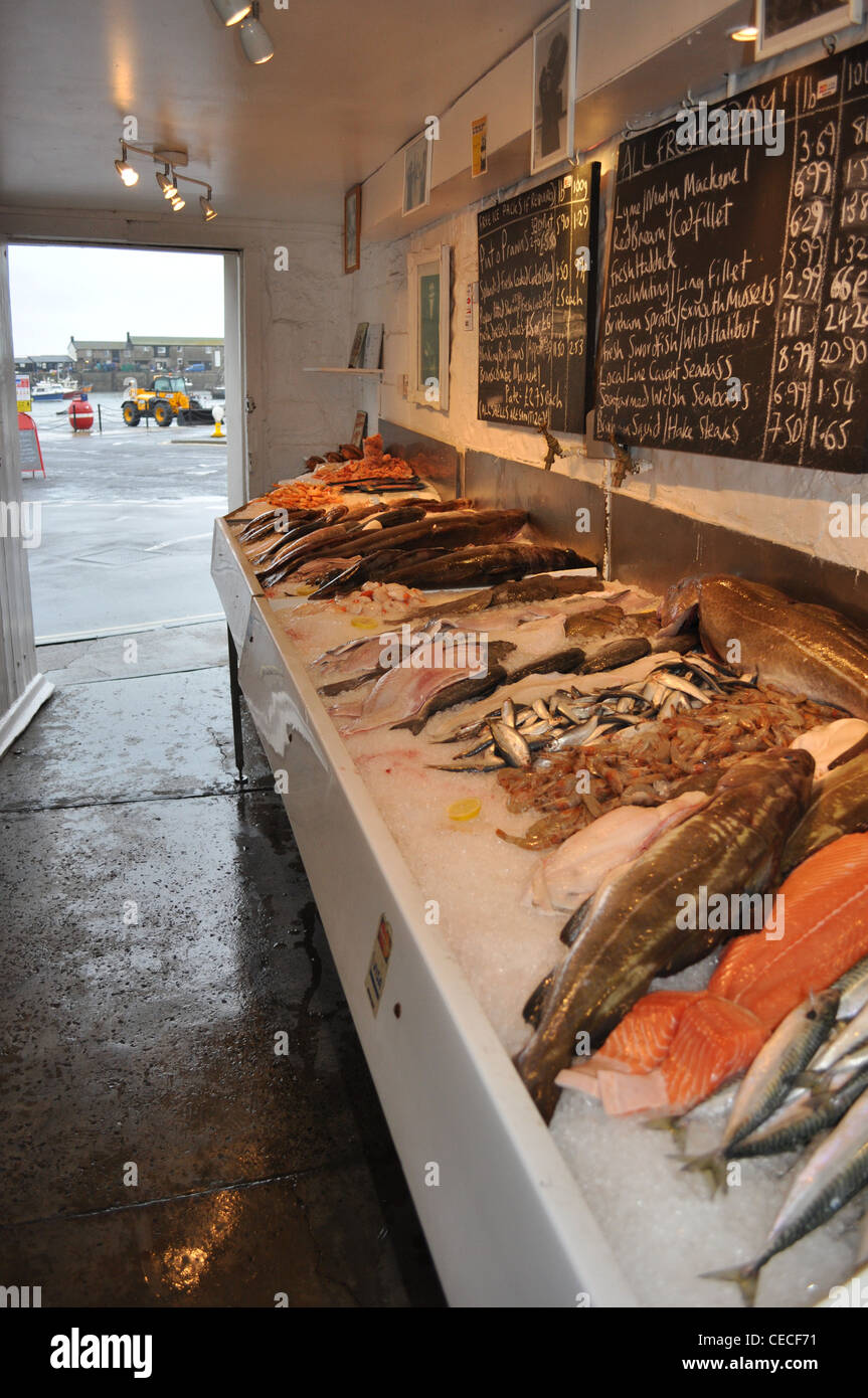 Pescherie a Lyme Regis Dorset, vendita di pesce fresco e frutti di mare pescati quotidianamente nella baia di Lyme Foto Stock