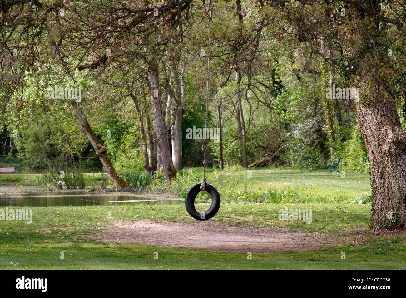 Pneumatico in gomma swing in estesi giardini pub dell'Inn at Fossebridge Foto Stock