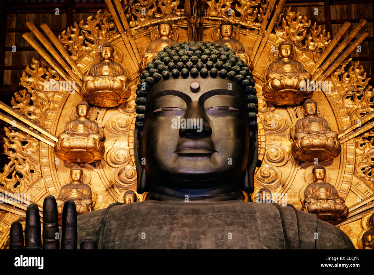 Il Tempio Todaiji,statua del Buddha. Nara, Giappone Foto Stock