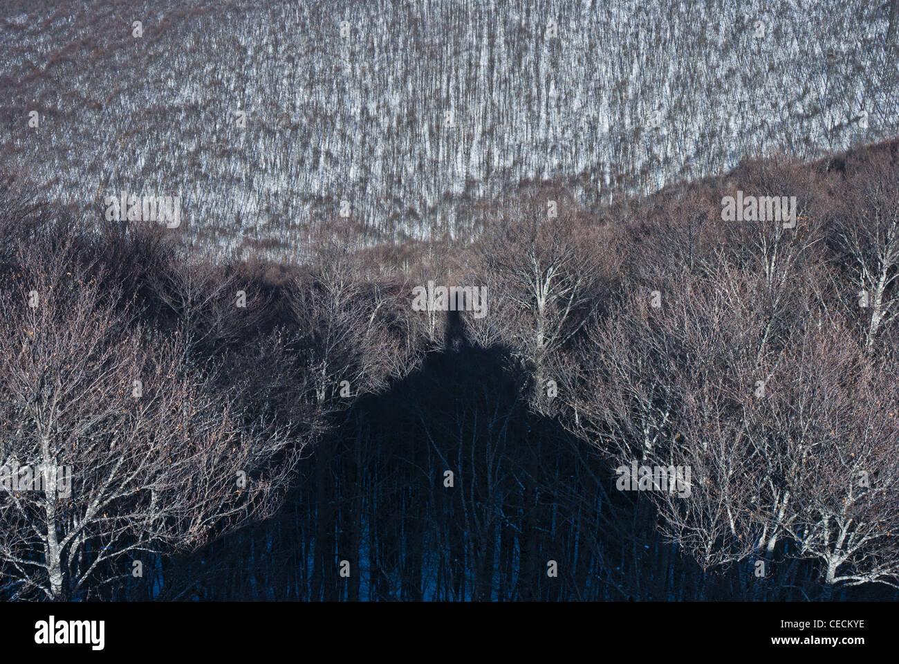 Ombra di un uomo attraverso nevicato montagna boschi di faggio Foto Stock