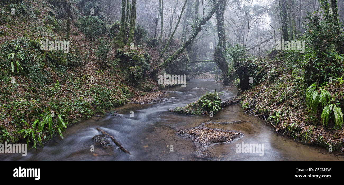 Un luogo immerso nella natura. Piccola gola in provincia di Viterbo, Italia centrale. Foto Stock