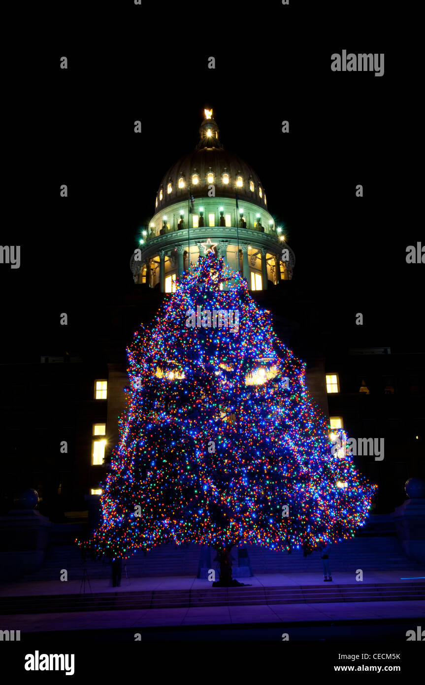 Idaho State Capitol Building e albero di Natale - 2011 Foto Stock
