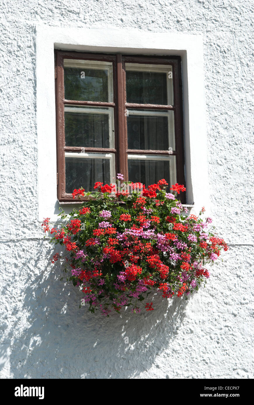La finestra antica w gerani Foto Stock