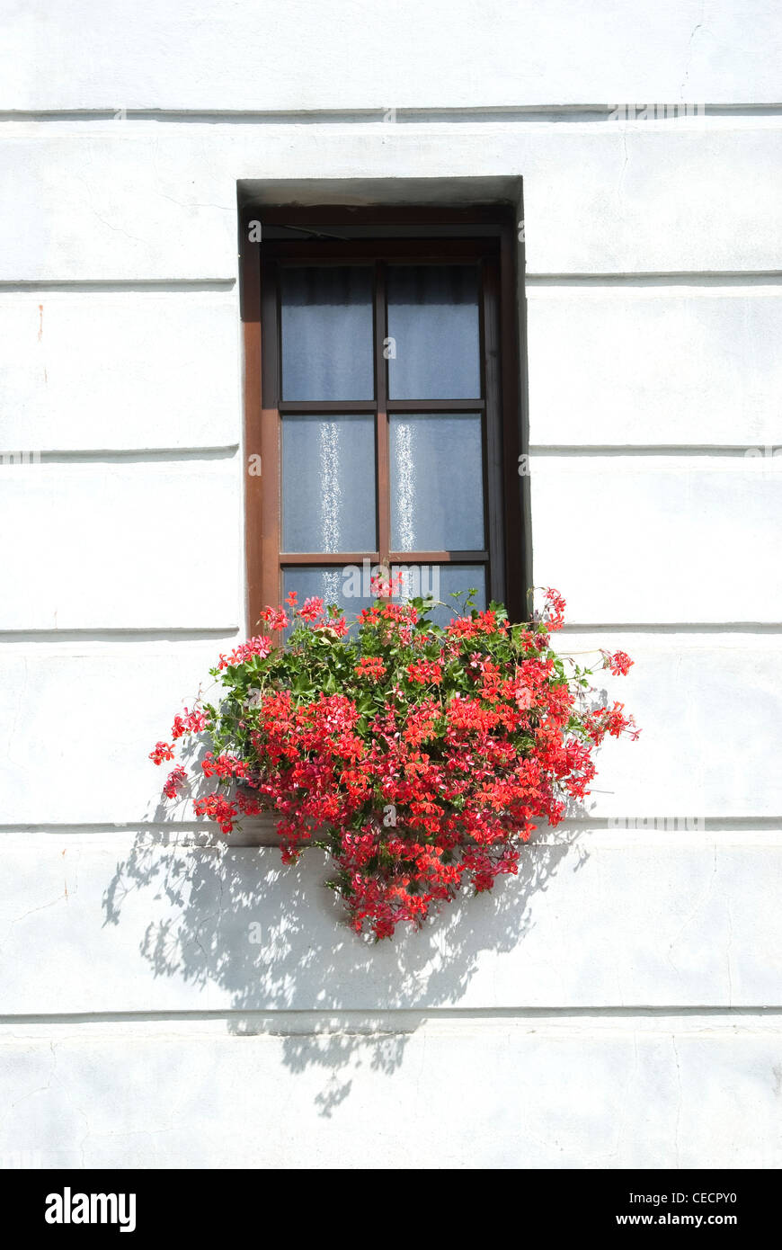 La finestra antica w gerani Foto Stock