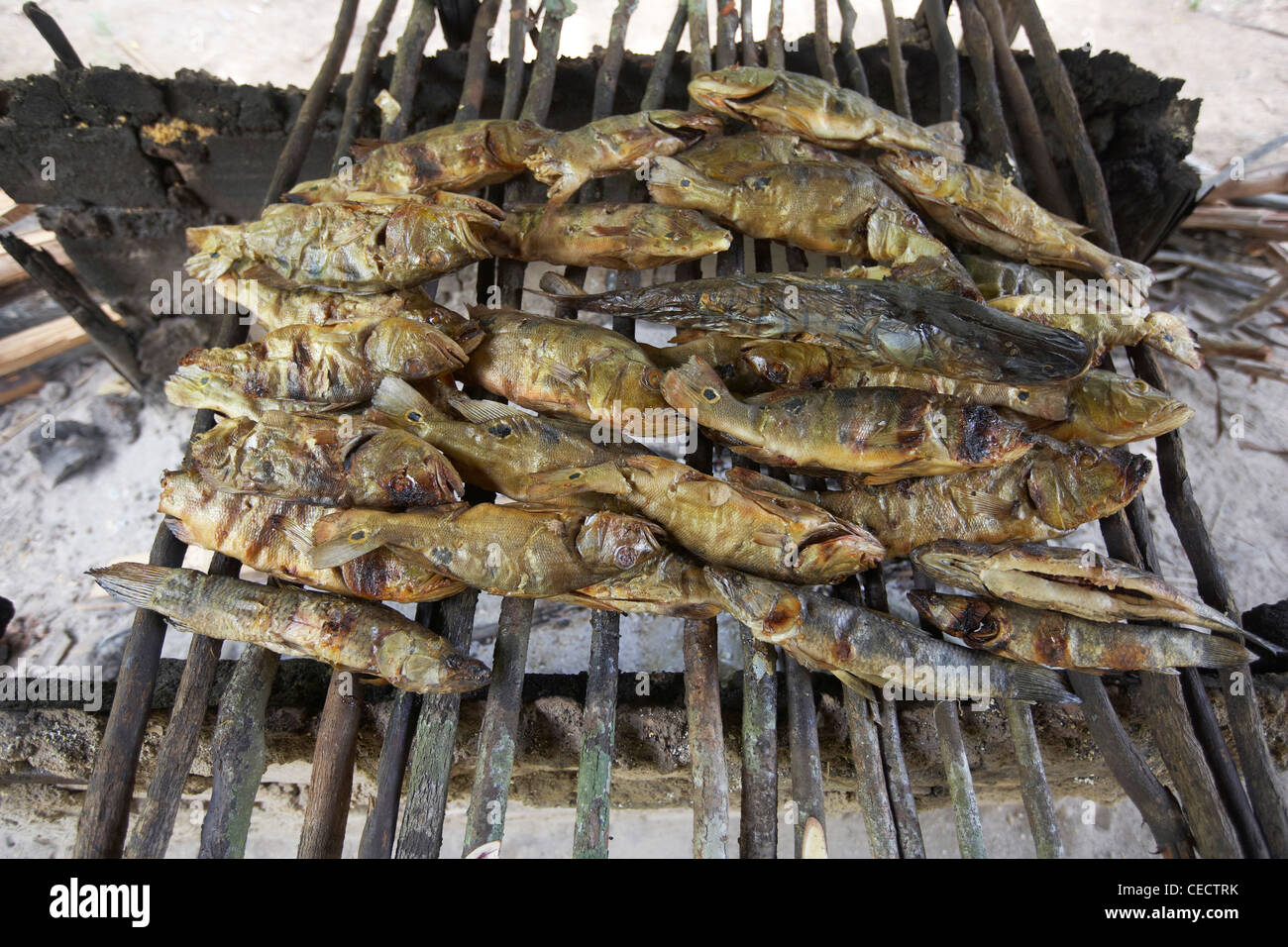 Pesce fresco, compresi Peacock Bass, fumatori e essiccazione su un fuoco aperto, Rewa, Rupununi, Guyana, Sud America Foto Stock