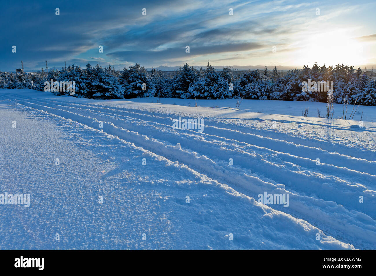 Paesaggio Innevato dopo la tempesta di neve, Islanda Foto Stock
