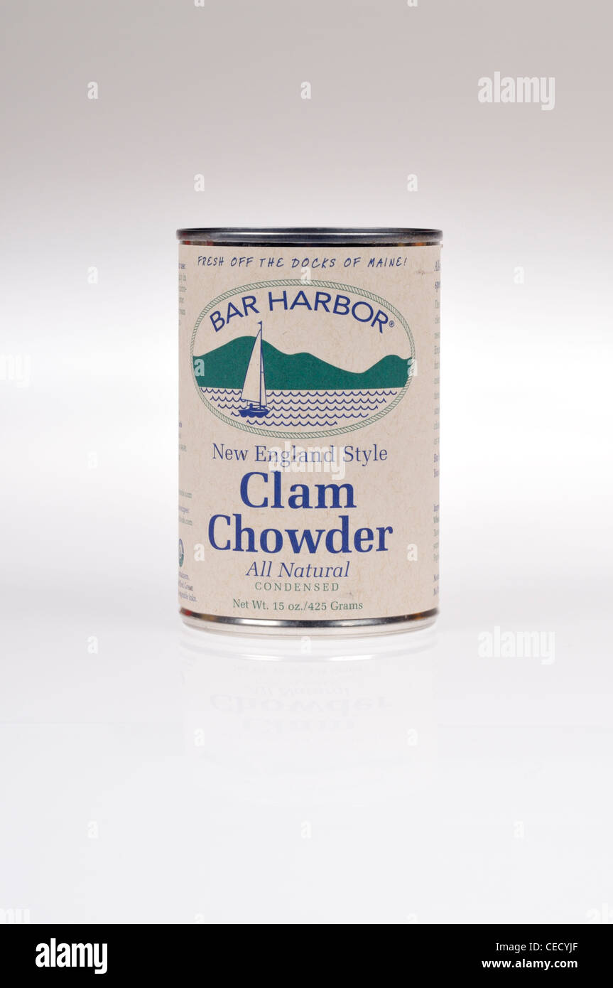 Possibile di Bar Harbor stile New England clam chowder su sfondo bianco tagliato fuori Foto Stock