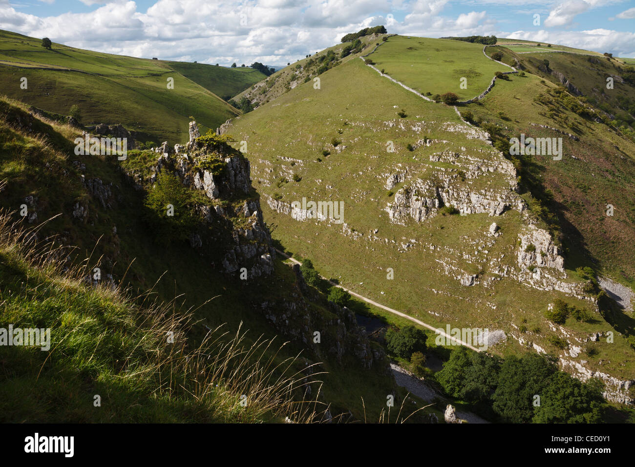 Wolfscote Dale e Biggin Dale da Gipsy Banca, Dovedale, Parco Nazionale di Peak District, Inghilterra. Foto Stock