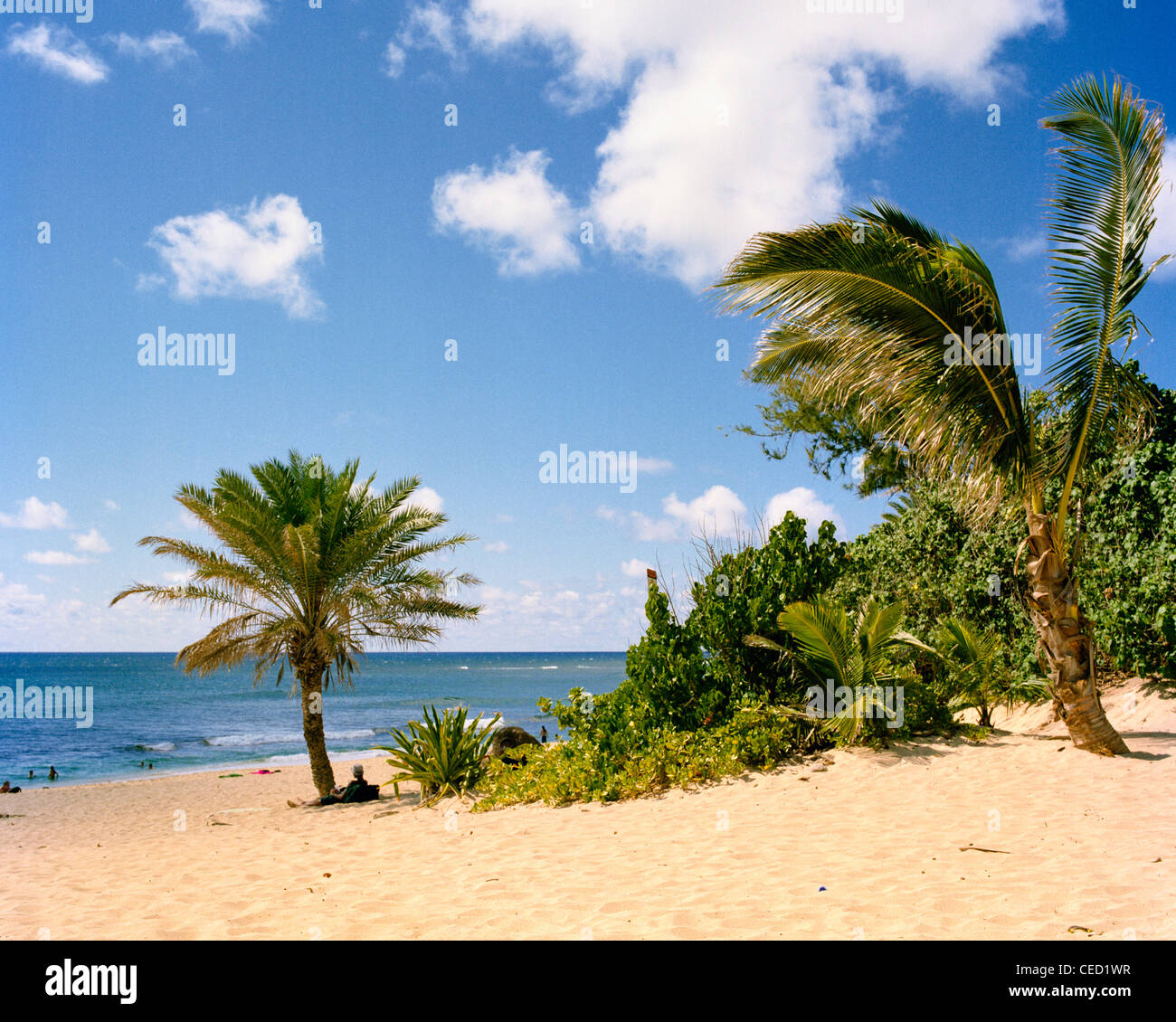 Sunset Beach North Shore Oahu Hawaii Foto Stock