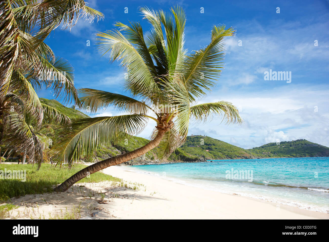 Isola paradiso spiaggia privata esclusiva Mustique Caraibi palme appartato non persone cielo sabbia mare deserto sole sole oceano amaca blu Foto Stock