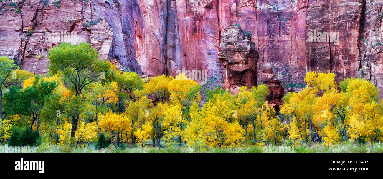 Il pulpito e autunno a colori il tempio di Sinawava. Parco Nazionale di Zion, Utah Foto Stock