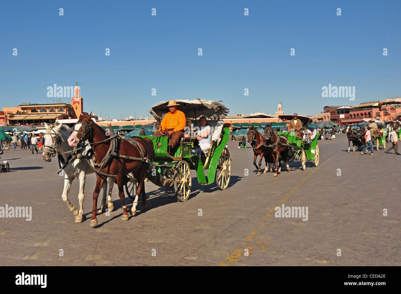 Il Nord Africa, Marocco, Marrakech, numerosi pony turistica e trappole schierate nella piazza principale Foto Stock