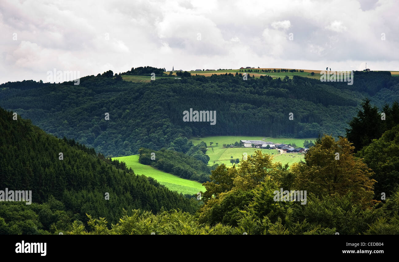Valle Verde con la fattoria e vacche su mattinata estiva sotto un cielo nuvoloso Foto Stock