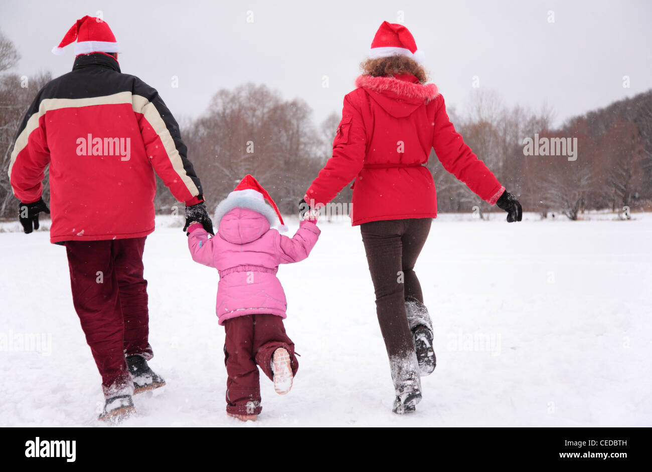 I genitori con bambino correre nel parco in inverno dal retro Foto Stock