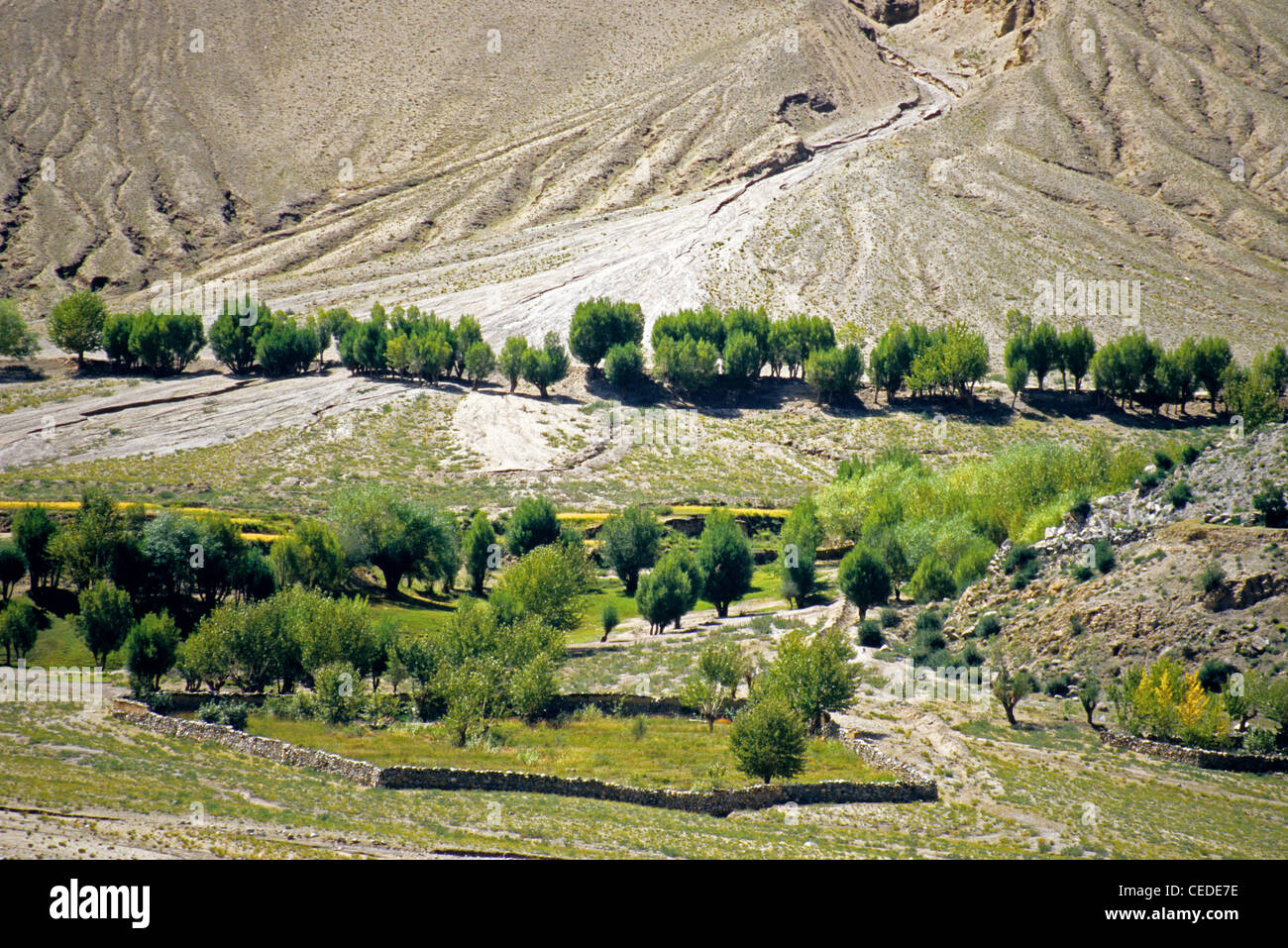 Lhasa Valle del Tibet con alberi piantati per controllare erosione Foto Stock
