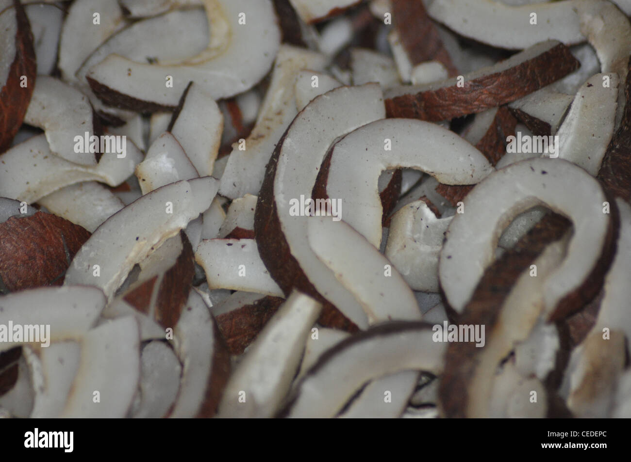 Secco scaglie di noce di cocco utilizzata per fare da olio di noce di cocco Foto Stock