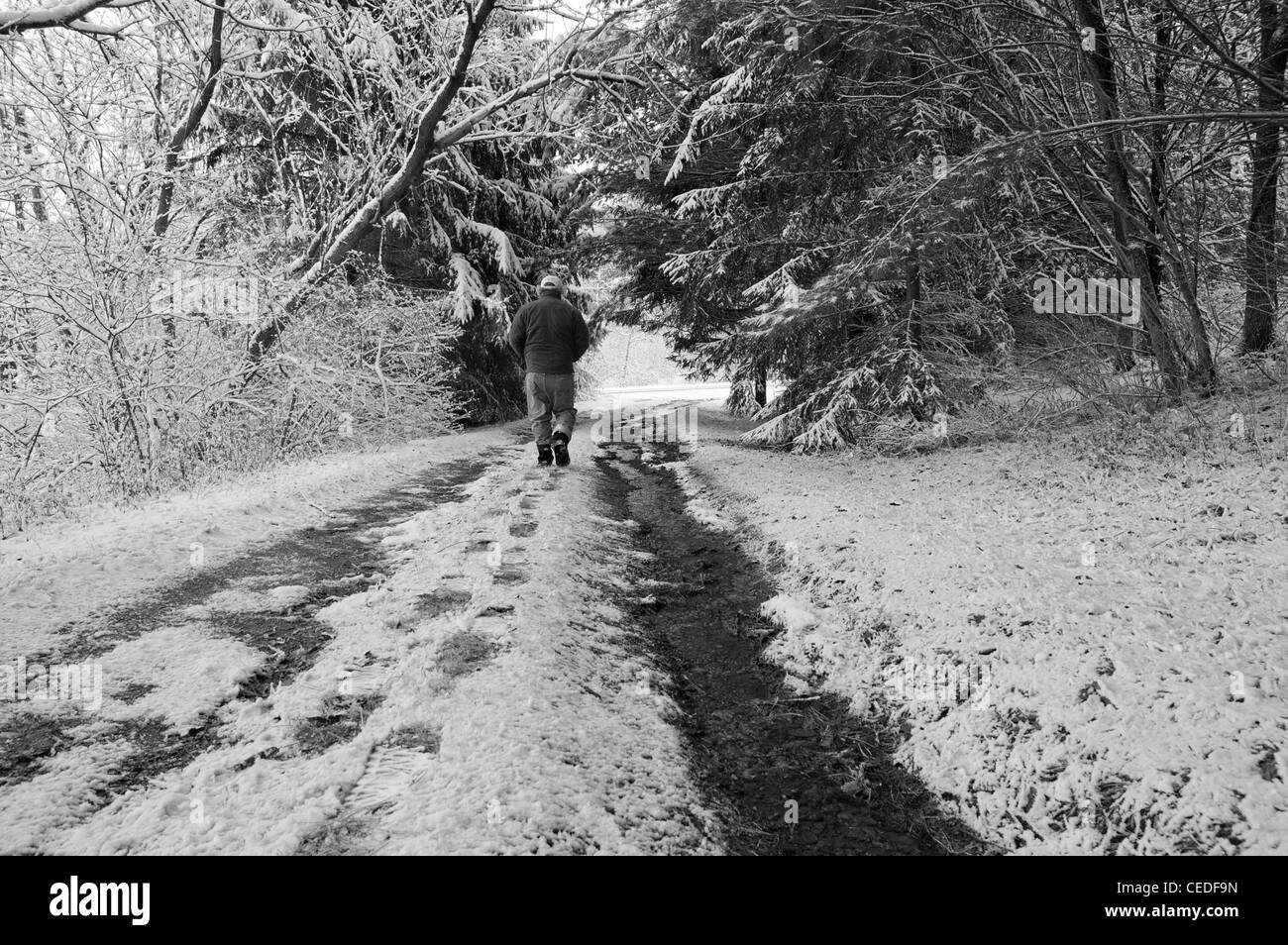 Un uomo da solo a piedi nella neve Foto Stock