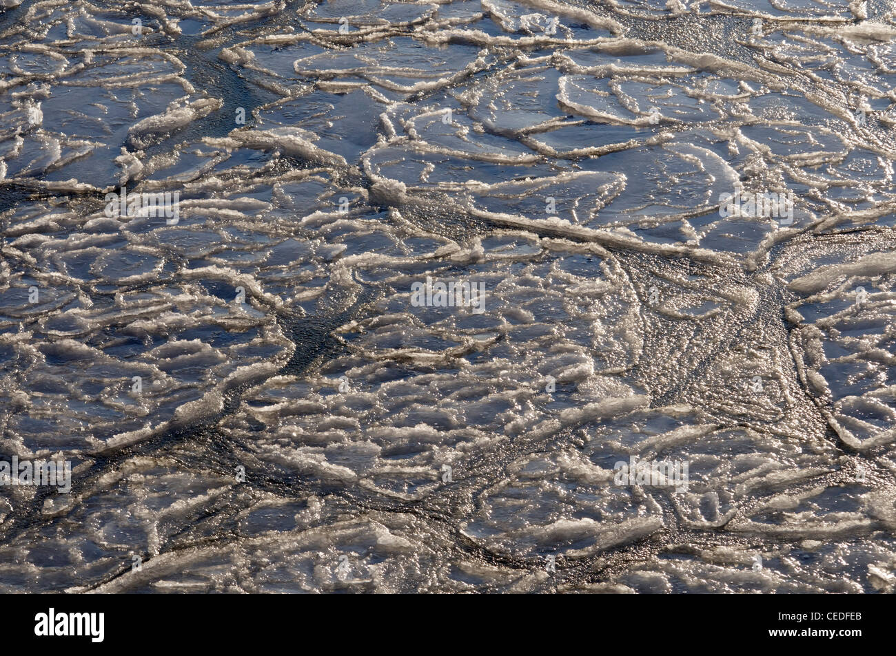 I modelli in mare di ghiaccio Foto Stock