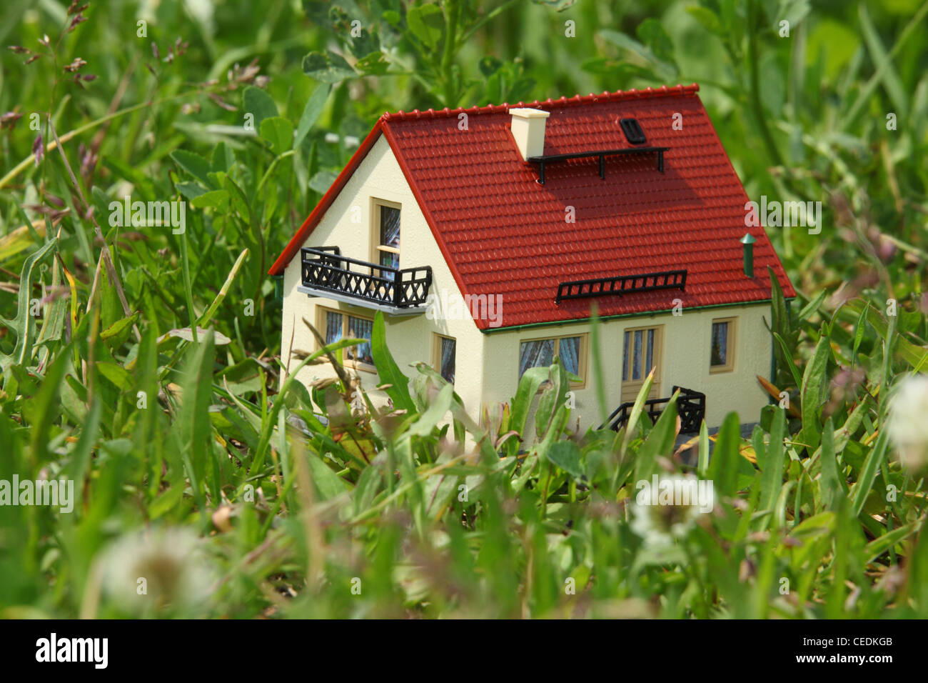 Modello di casa in erba Foto Stock