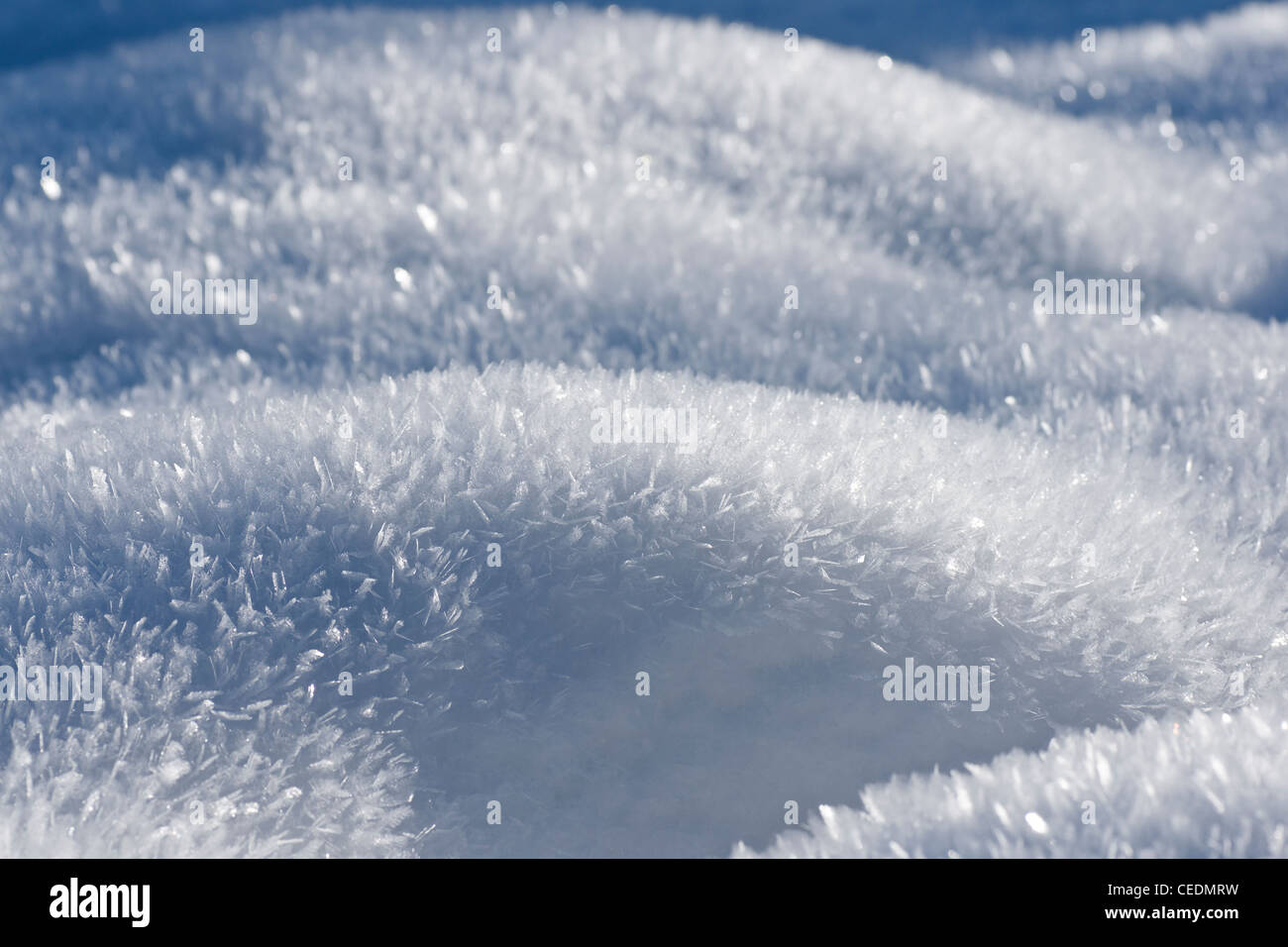 Fresh bianco della neve Foto Stock