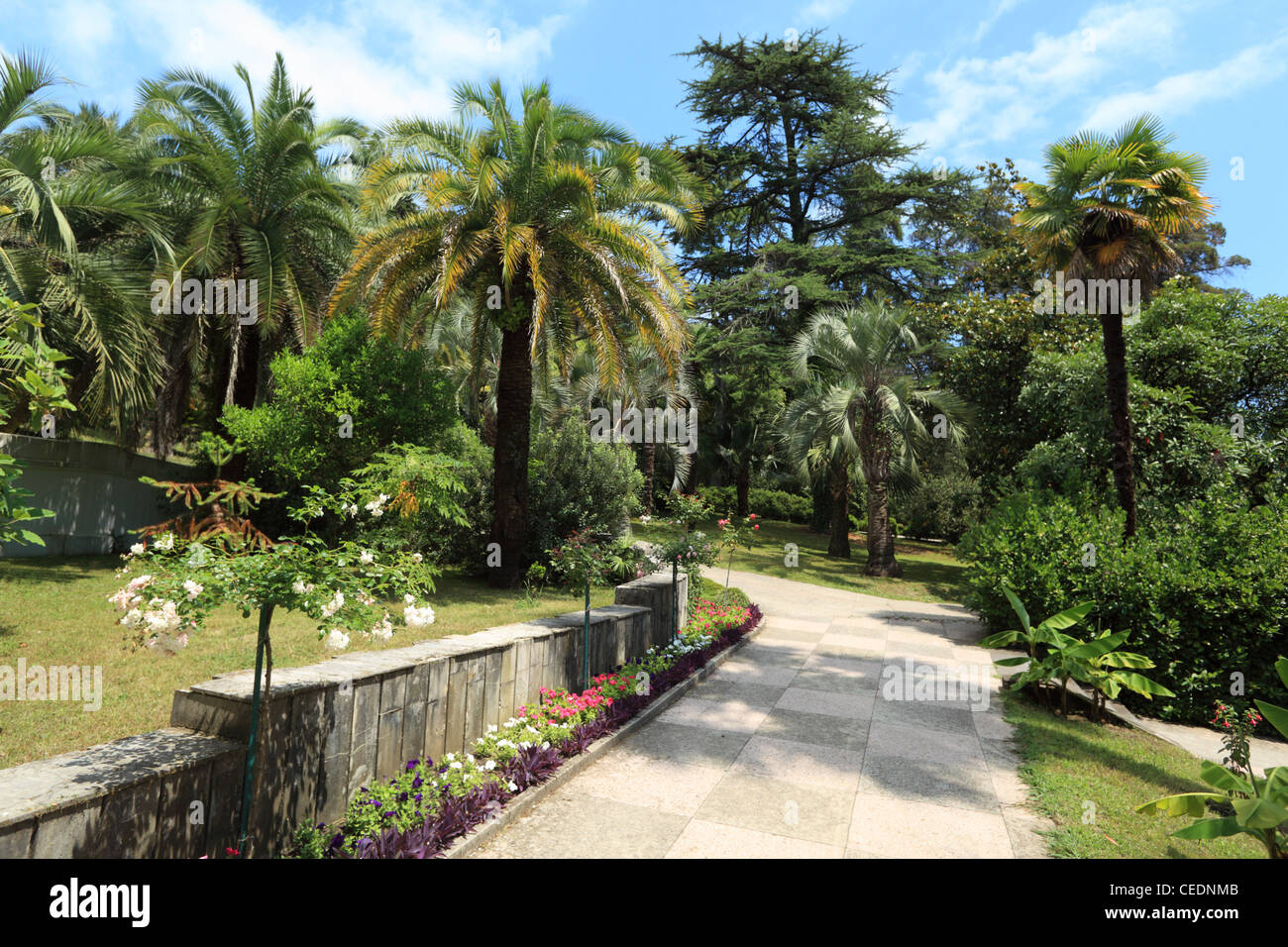 Strada in Sochi arboretum Foto Stock