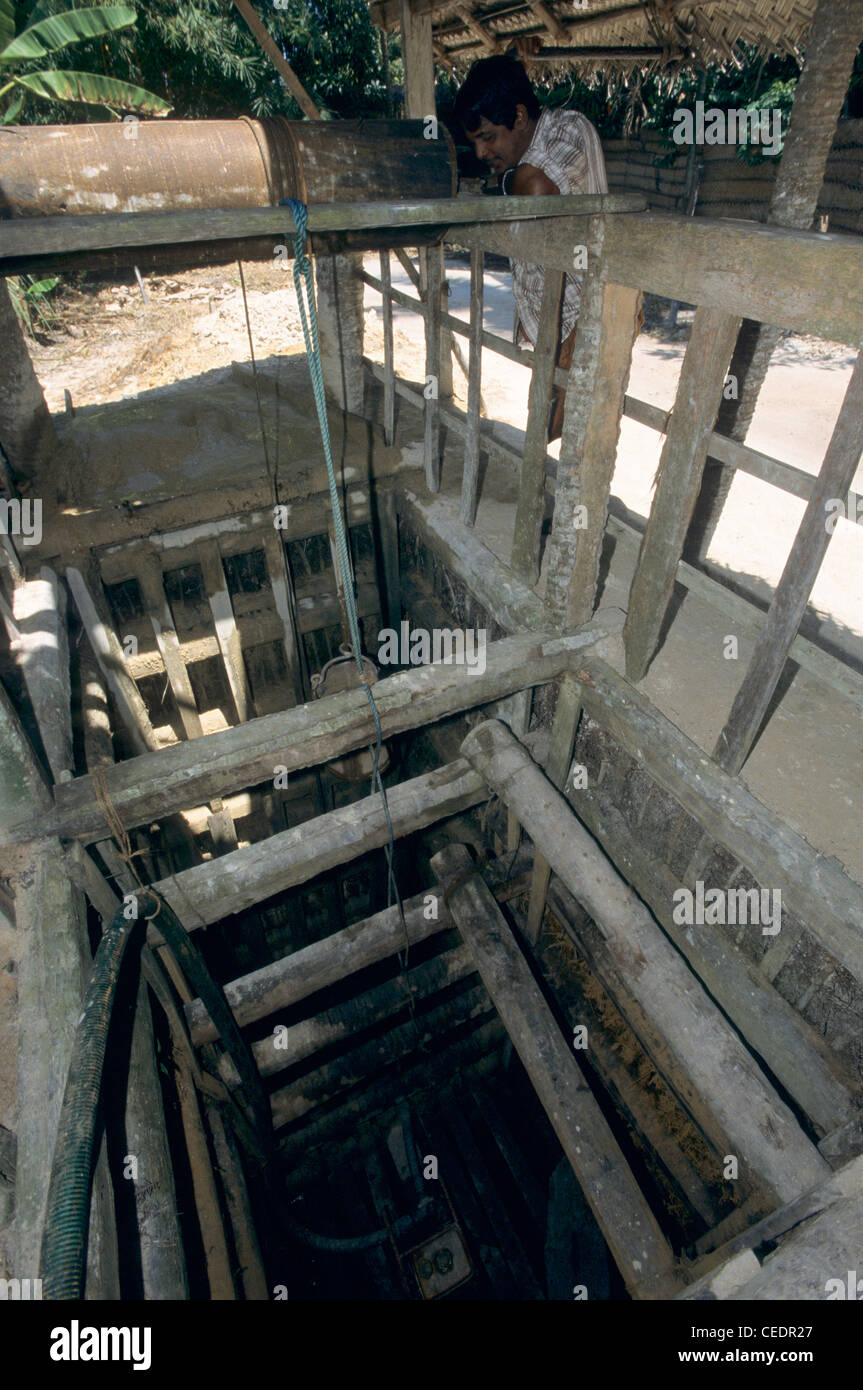 Albero di entrata di una pietra preziosa miniera, Sud ovest dello Sri Lanka Foto Stock