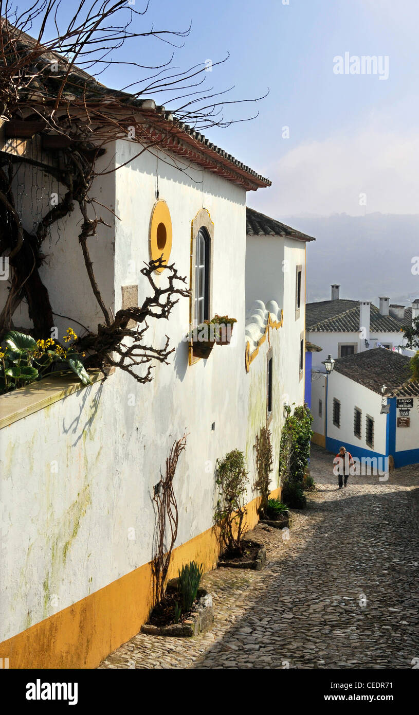 Strada di ciottoli, Obidos, Portogallo Foto Stock