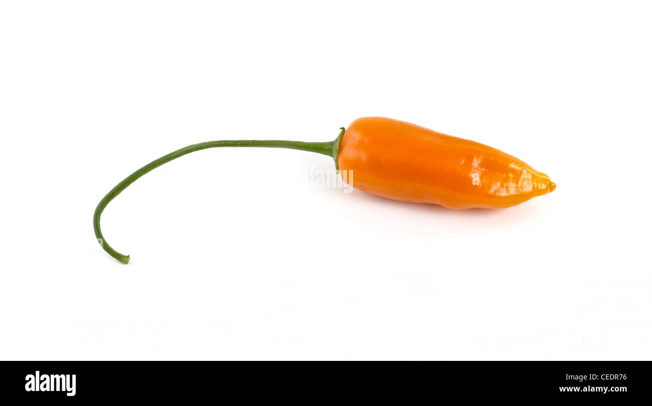 Peperoncino Aji Foto Stock