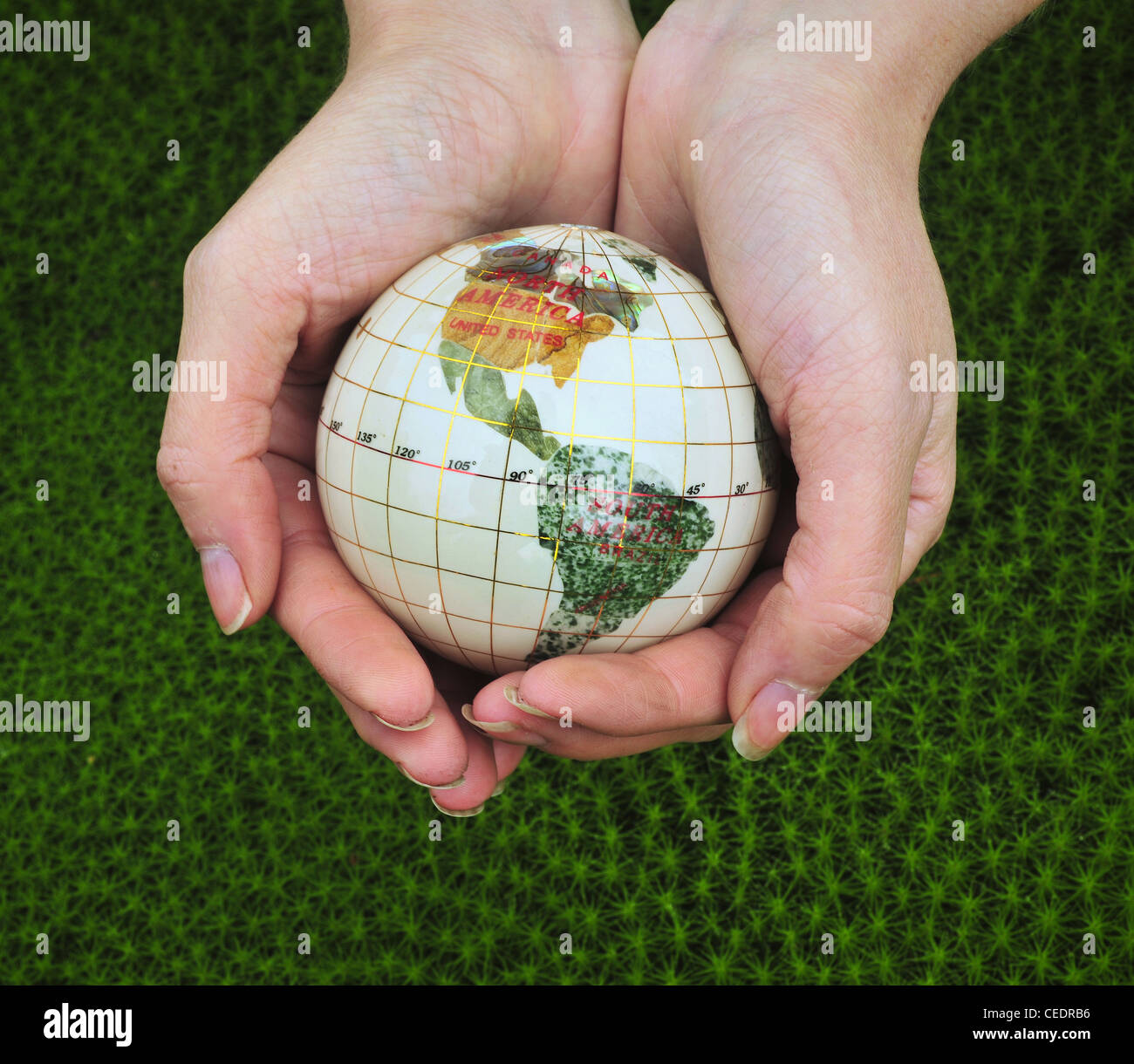 Salvare il mondo. Globo terrestre in un palmo delle mani sul muschio verde dello sfondo. Foto Stock