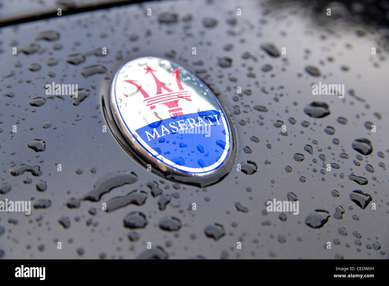 Simbolo di Maserati Foto Stock