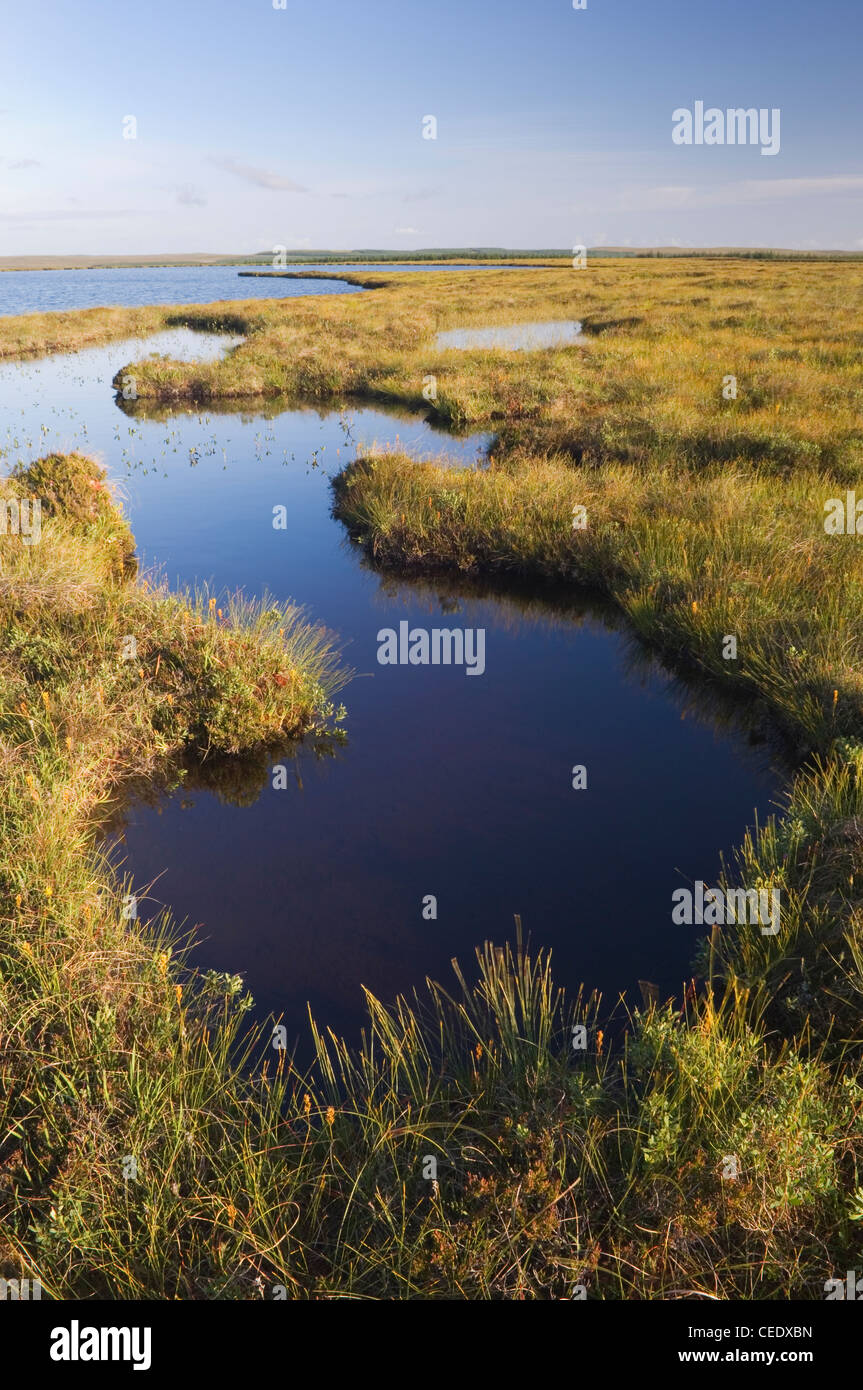 Il Flow Country o Peatlands a Forsinard, Sutherland, Scozia. Foto Stock