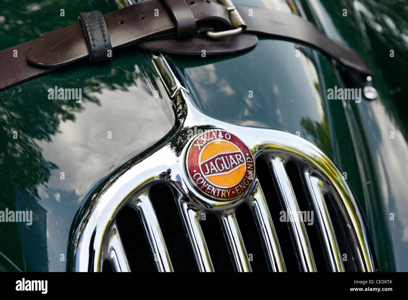 Il cofano, dettaglio Jaguar XK 140, cinture in pelle, auto d'epoca, i veicoli storici, Amburgo, Germania, Europa Foto Stock